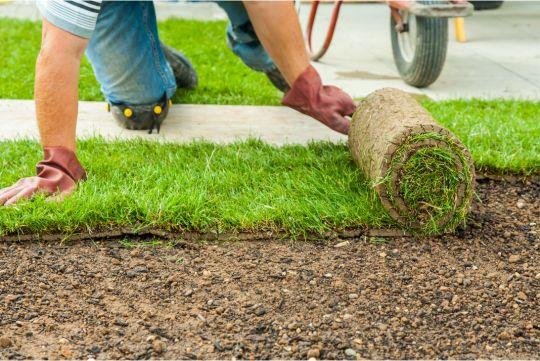 sod installer at work